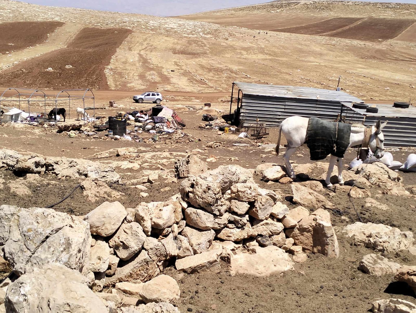 صورة أرشيفية